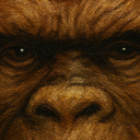 52BROOOOOMS-DanielsMixtape icon