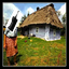 AmeliasBaement-angry_polish_grandma_fixed-1.1.0 icon