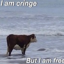 Anime_Is_Real-ACSA icon