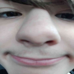 CSGO IDF Voicelines | Thunderstore - The H3VR Mod Database