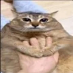 Astraleth-Minecrouft_ModPack icon