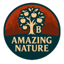 Balrond-balrond_amazing_nature-1.1.2 icon