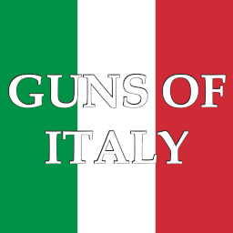 Billiam_J_McGoonigan-Guns_of_Italy icon