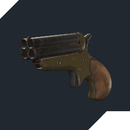 BitWizrd-HuntQuadDerringer icon