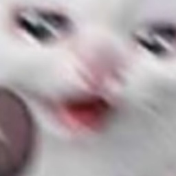 BobFromIT-ChatX icon