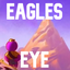 Bub-EaglesEye-2.4.0 icon
