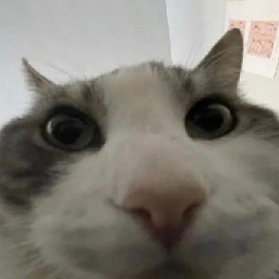 BunyaPineTree-ModelReplacementAPI icon