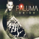 Cholitos-Chemito_Cumbias icon