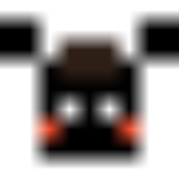 TheSupporterCustomCharacter | Thunderstore - The Enter the Gungeon Mod