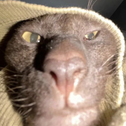 Cutor-Modpack_Cutor icon