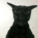 DMaidGirls-DMG_PACK icon