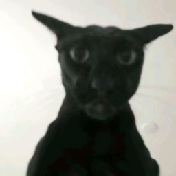 DMaidGirls-DMG_PACK icon