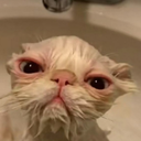 DUrkles-MeHarty icon