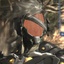 DaggerAce-Metal_Gear_Rising_Revengeance_OST-1.1.0 icon