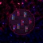 DemonMae-Halation_moon-2.4.0 icon