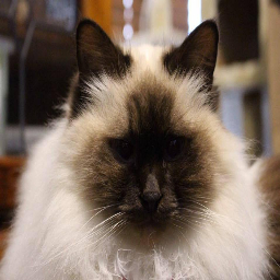 DingusTeam-HelloDingusModPack icon