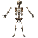 Ebula_gng-Scary_Company_Intro icon