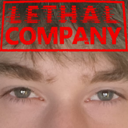 EyyMarten-EyyMarten_Modpack_LethalCompany icon