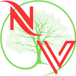 FirstOrder2-NewVinland icon