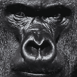 Flames_Gaming999-Flames_Flaming_Videos icon