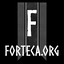 FortecaOrg-Forteca-0.0.1 icon