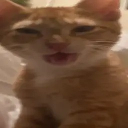 Frontendders-We_are_making_it_out_of_the_frontend_with_this_one icon