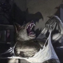 Fungal_Fellows-GamerMoment icon