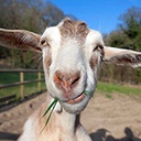 GHA-GHAModPack icon