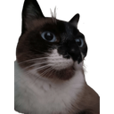 GatekeeperCat-Cat_s_Refunkfied_ModPack icon