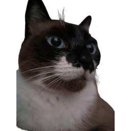 GatekeeperCat-Cat_s_Refunkfied_ModPack icon