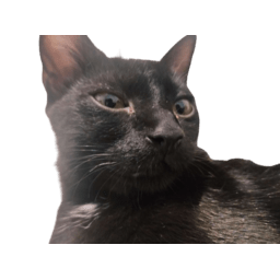 GatekeeperCat-Cat_s_Refunkfied_ModPack_BASE icon