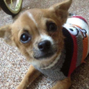 GatorGamerGuy-MountainMixtape icon