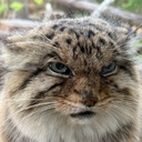 Generic_GMD-Generic_Doorscript icon