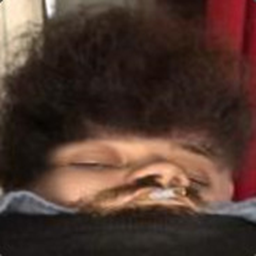 German Herring Modpack | Thunderstore - The Lethal Company Mod Database