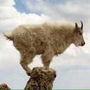 GoatGang-Goat_Gang_REPO_Modepack icon