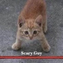 Homeboi999-fish_condition icon