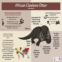 HouseOfFreaks-Otter_More_Suits icon