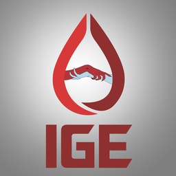 IGE-IGE_Team_modpack icon
