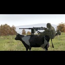 Illatior-QoLNWeapons_Modpack icon