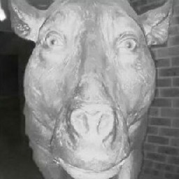 Janobuzi-Janomeleg icon