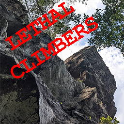 JaredIsCoding-LethalClimbers icon