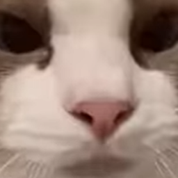 LB3-BoomCatMine icon