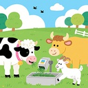 Lan-FullAutoFeed icon