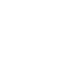 Lauriichan-FriendPatches icon