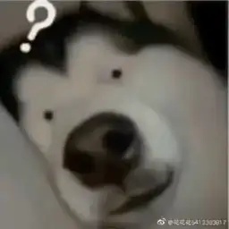 MLPHIES-MLPHIES icon