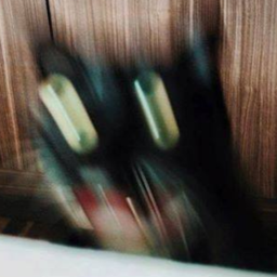 MegaMelodic-Melodics_Ultimate_Modpack icon