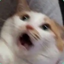 MelonGoonsquad-Alt_REX_M1 icon