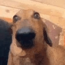 MelonGoonsquad-Cheese_Acrid_Skin icon