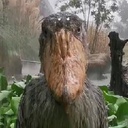 Merlin-Probability_of_Precipitation icon