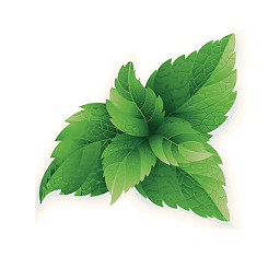 MintyFresh-MintyFreshHeads icon